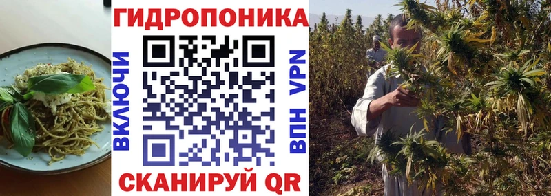 ссылка на мегу рабочий сайт  Казань  Cannafood конопля 