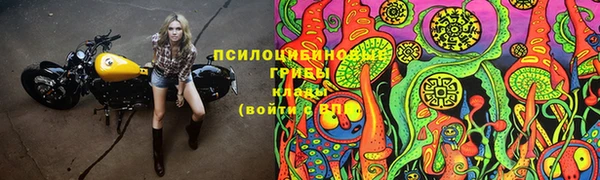 соль ск Алзамай