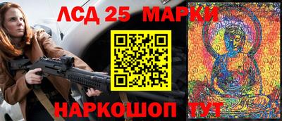 прущие грибы Краснодар