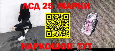 прущие грибы Краснодар