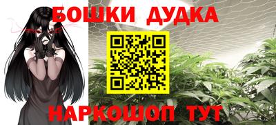 прущие грибы Краснодар