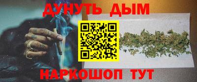 прущие грибы Краснодар