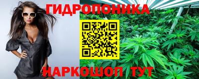 прущие грибы Краснодар