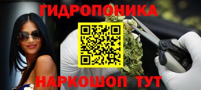 прущие грибы Краснодар