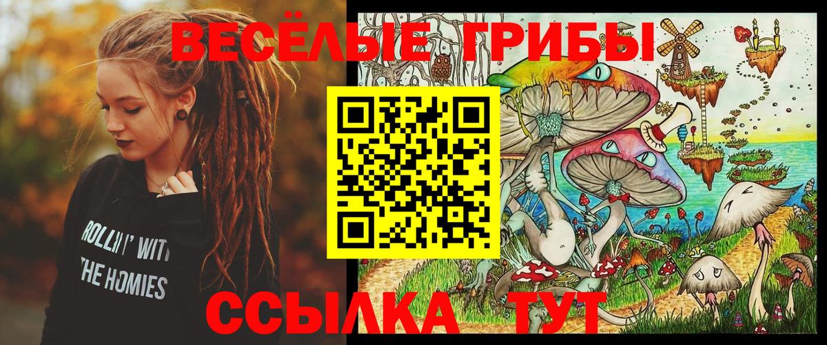 Галлюциногенные грибы Cubensis  Галлюциногенные грибы мухоморы  Казань  Вход с VPN 