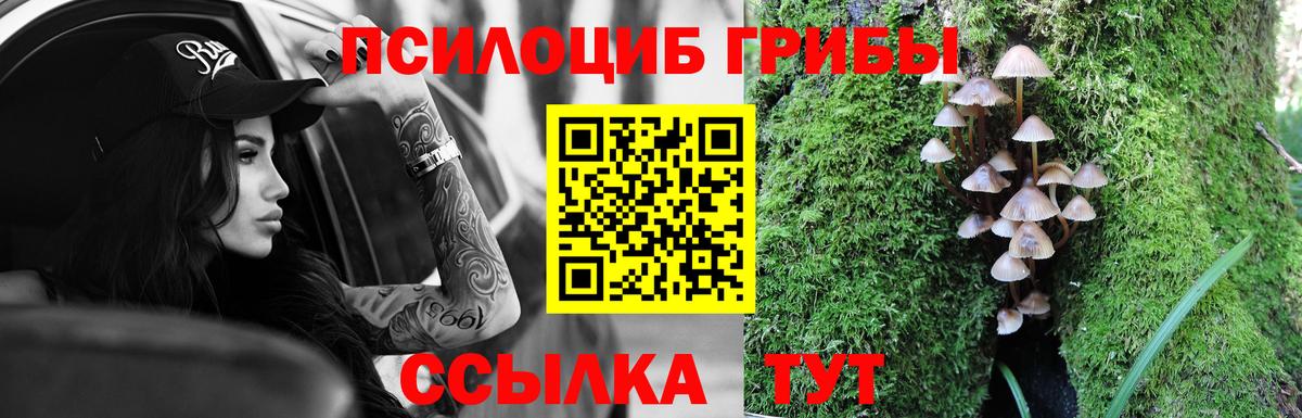 Галлюциногенные грибы MAGIC MUSHROOMS Казань