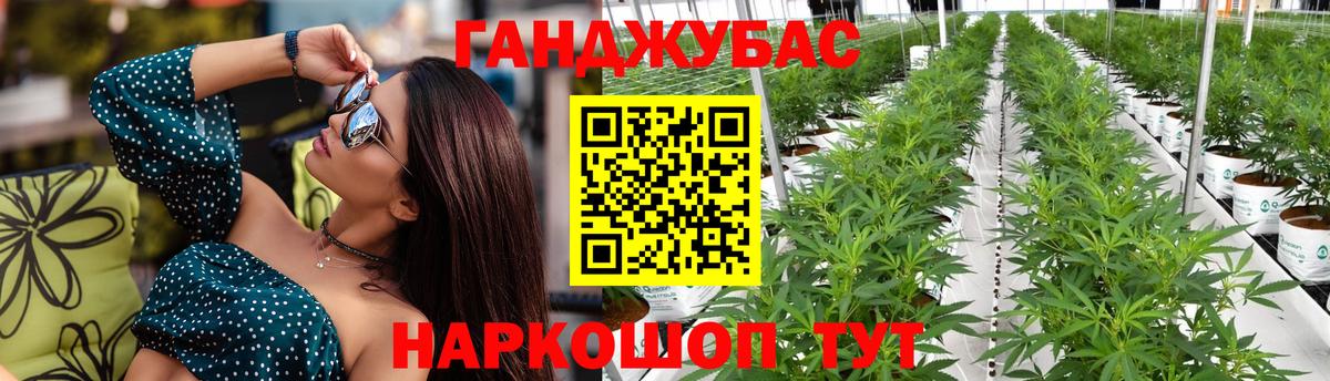МАРИХУАНА ГИДРОПОН Казань